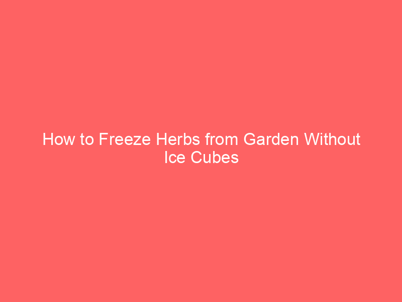 How To Freeze Herbs From Garden Without Ice Cubes_108_87744